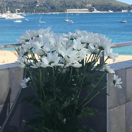 Apartmán Elegant With Sea View In Puerto De Pollenca 120m² Jacuzzi